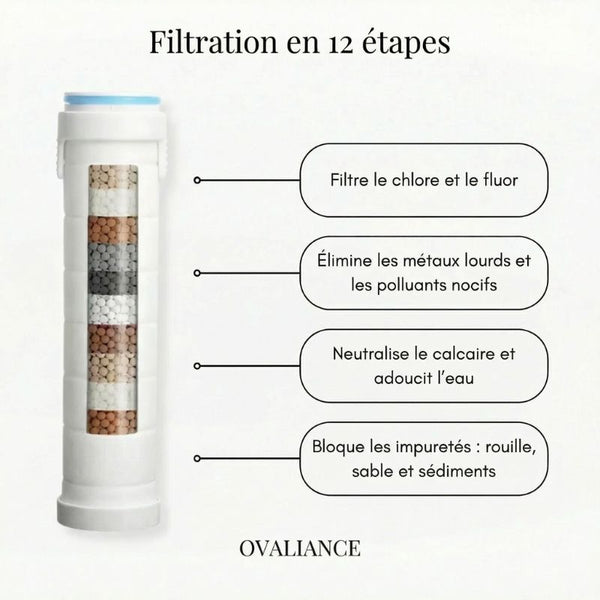 Pommeau de Douche Anti-Calcaire Effet Spa – Filtration + Massage